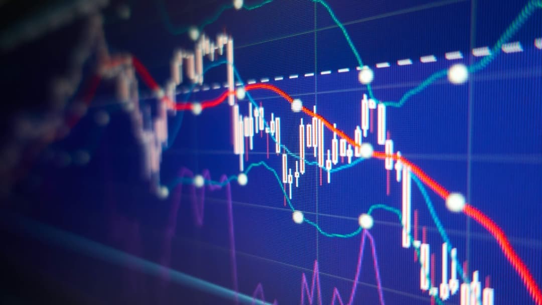 How to Build a Profitable Business in a Down Economy